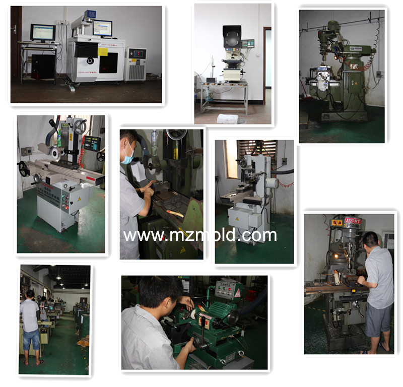 China Special Shape Punches for Dies and Mold