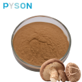 Shiitake-Pilz PE 50%