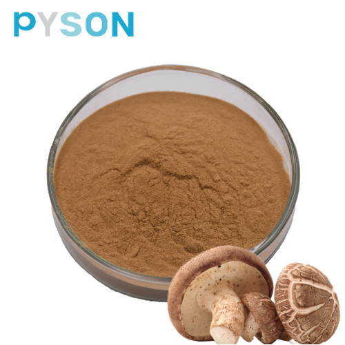 seta shiitake PE 50%