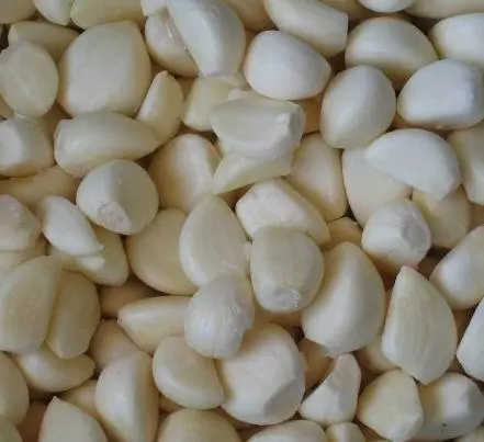 IQF Peeled Frozen Garlic High Quality