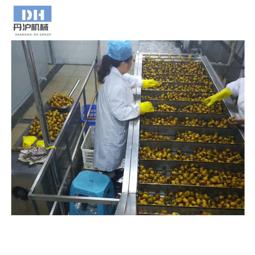 Fruit pulper machine for Fruit Processing Line