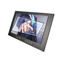 Vesa Monitor with Widescreen Aspect Ratio