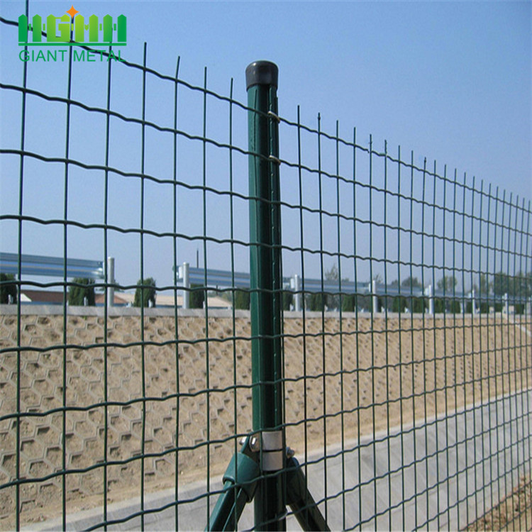 PVC Coated Welded Euro Wire Mesh Fence