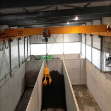 LDZ Electric Single Grider Grab Crane