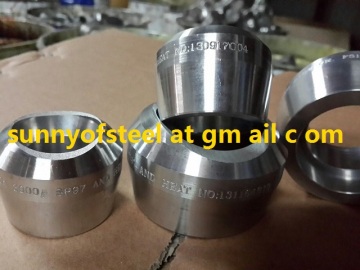 ASTM A182 F317 F317L 317/UNS S31700  317L/UNS S31703 EN 1.4438  pipe fittings flange weldolet