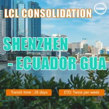 LCL Shipping From Shenzhen To Ecuador Gua