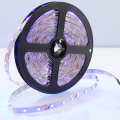 4.8W per meter 3528 STRIP LED dengan UL / CE / ROHS