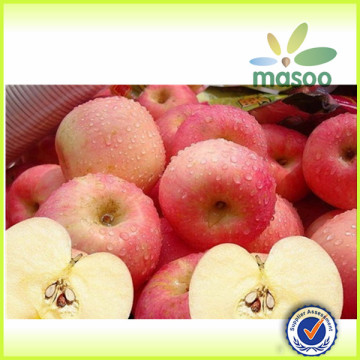 red apple/apple/fresh apple with high quality