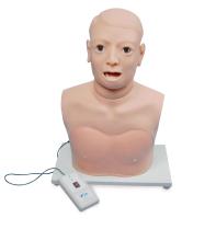 Pharynx and Larynx Examination Model (electronic monitoring)