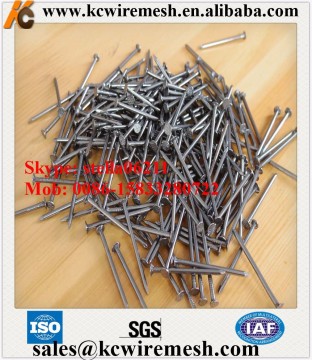 Cheap!!!!!!! KangChen hot sale galvanized shoe nails/shoe tack nails