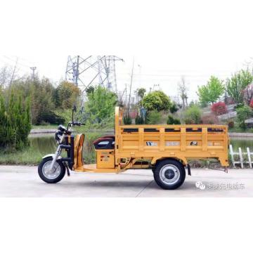 Tricycle électrique à 3 roues Cargo pour travaux agricoles