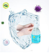 wholesale bath and body works hand sanitizer gel