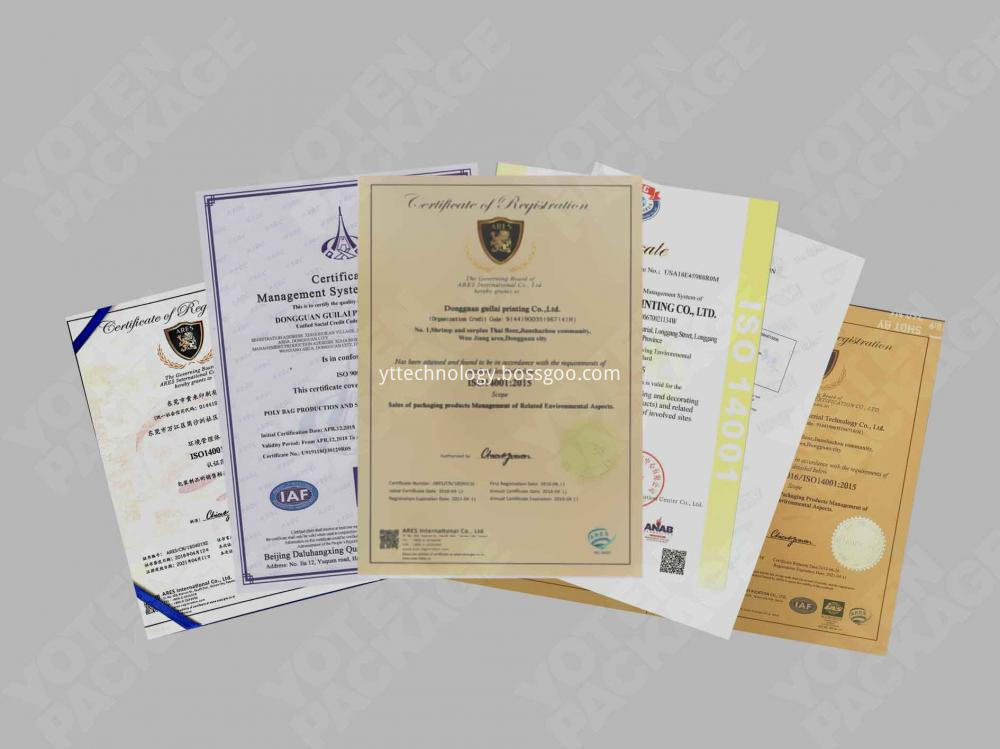 Zertifikat Certificate