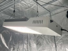 Thailand Direct Marketing Led Grow Light Direct Sale