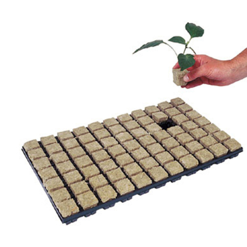 Skyplant Indoor Rockwool Hydroponic Indoor With Hole