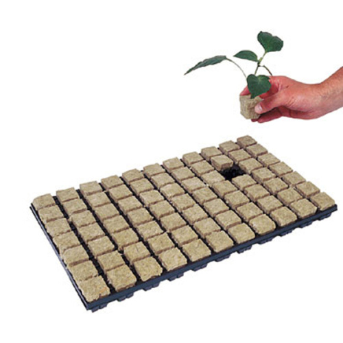 Skyplant Indoor Hydroponic Rockwool Cubos Com Buraco