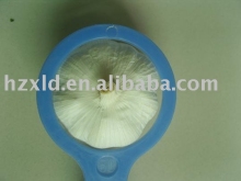 sell Chinese fresh garlic