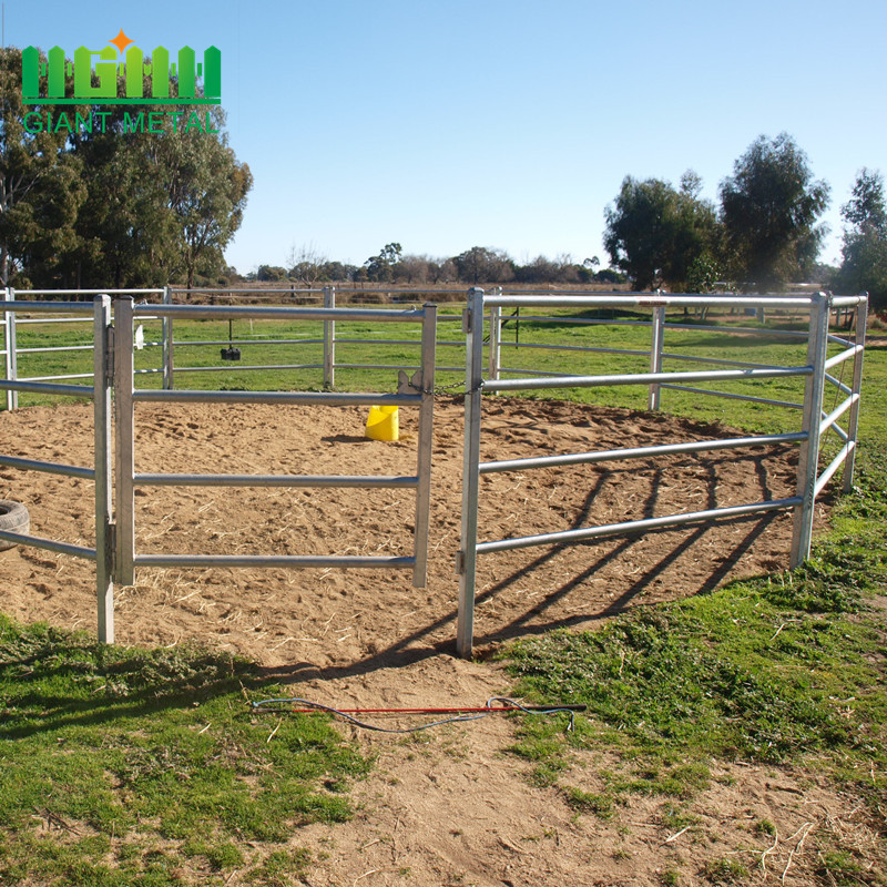 galvanized pipe horse fence panel horse fence