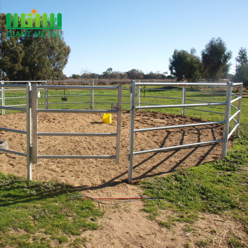 Factory Cheap Used Galvanized Cattle Fence Panels