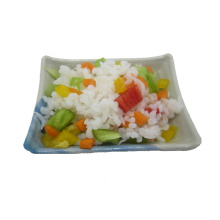 Zuckerfreie Nudeln Fette freie Lebensmittel Bio Shirataki Reis Nudeln