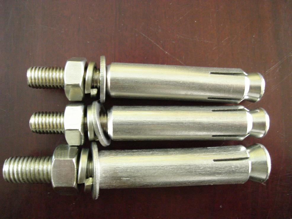 Stainless Steel Bolts