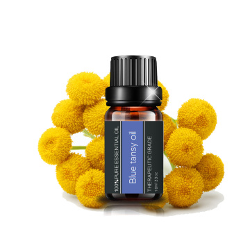 Olio essenziale di olio di tansy blu organico naturale per la cura della pelle