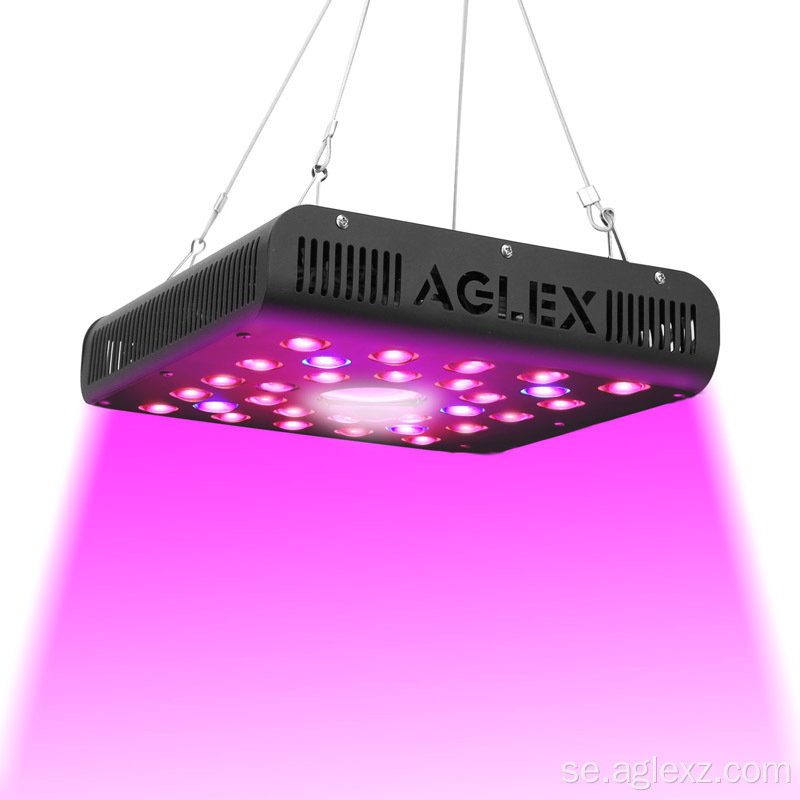 Plantor LED Grow Light COB 600W Rödblå