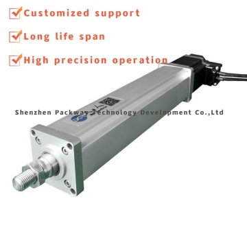 Micro 24v Linear electric cylinder