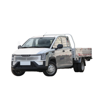 Lingshi Golden Card Double Row