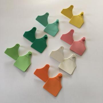 barcode print green animal eartag for cow