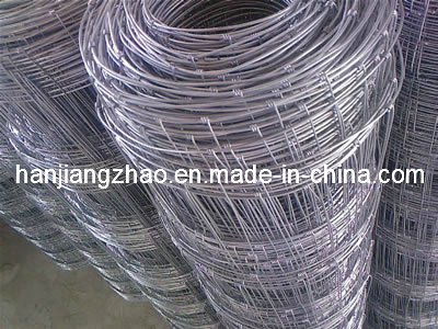 Hot DIP Galvanized Knotted Wire Mesh Fence (XM-F-3)