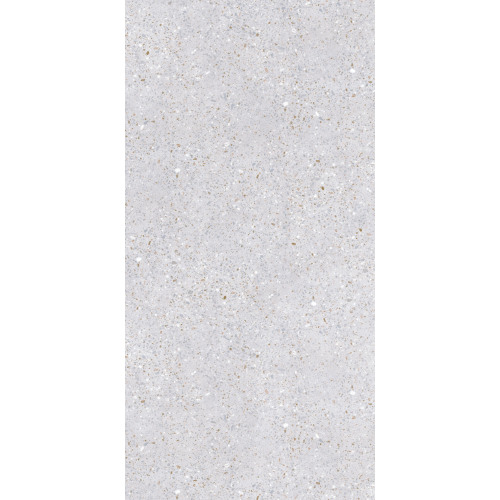 Terrazzo Look 60 * 120 Matt Finishing Porcelain tiles