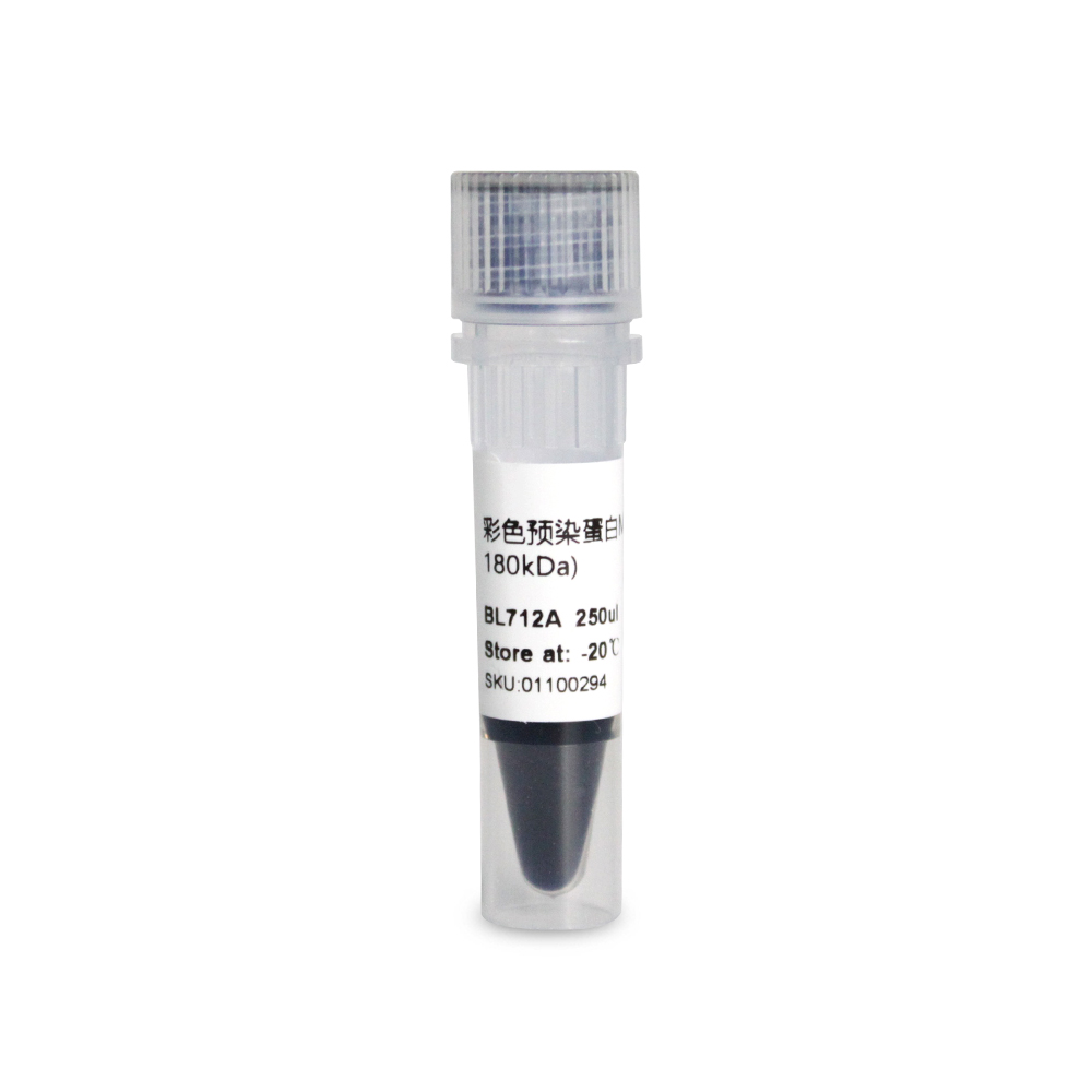 Renkli önceden boyanmış protein işaretleyici (10-18 kDa) Colorful pre-stained protein marker (10-18 kDa)