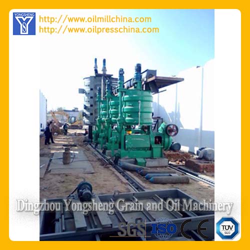 Cottonseed Oil Mill Machine