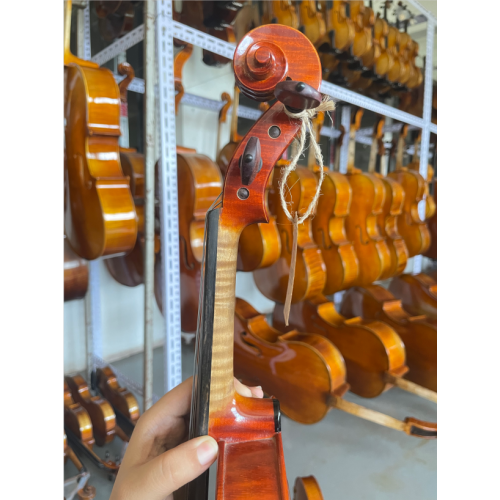 Professionista EUP di alta qualità 4/4 violino