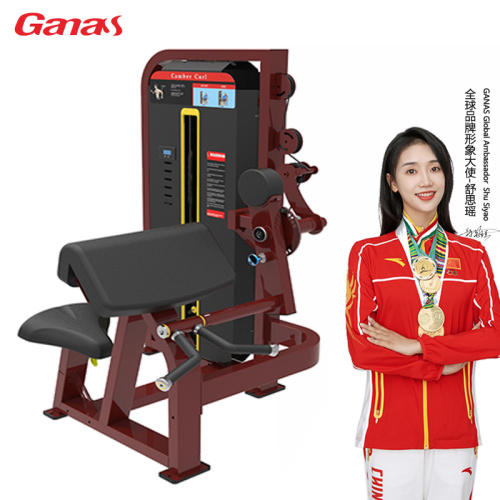 Phòng tập gym thương mại Seated Biceps / Triceps Curl 2 trong 1