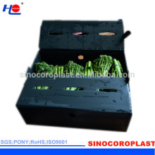 PP Vegetables Crates