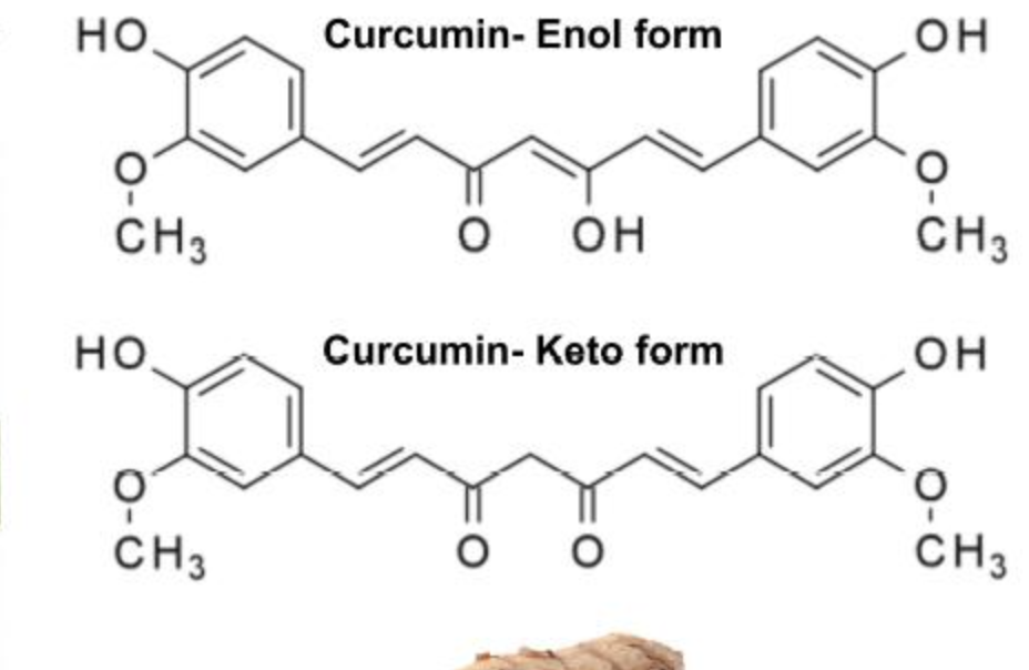 مورد مسحوق استخراج الخولنجان Galangal Extract Powder Supplier