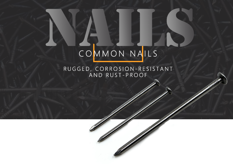 5cm 10cm q195 iron wire rod common nails hot dipped galvanized 2 inch construction 12d common wire nail