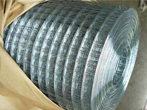 Hot Dipped Galvanized Welded Wire Meshs