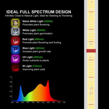 400W Aglex Full Spectrum LED Light para plantas internas estufa hidropônica com cobertura UV IR 4x4