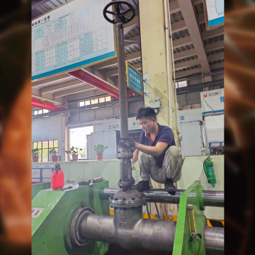 Extend Stem API600 Gate Valve Wcb 6"Z40h-150#