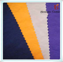 Nylon Taslan Fabric/Nylon Taslan/Taslan Fabric
