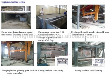 aac ,AAC block ,aac plant manufacture,aac block machine and price,aac panel