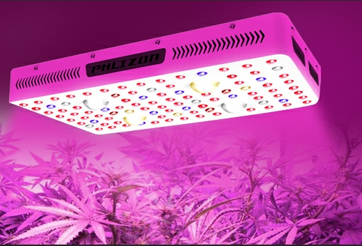 Led Grow Light