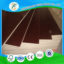 Film Face Plywood with WBP Glue