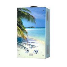 Glass Panel Gas Instant Gas Water Heater