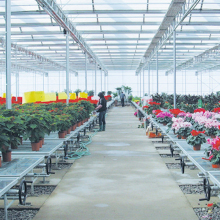 Galvanized Seedbed Mesh - Welded Wire Mesh Panels for Greenhouse