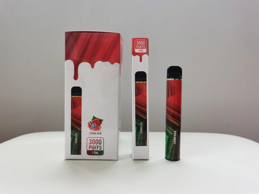 6ml Vape Pod Kit 5% Nico tine Wholesale Disposables Vaporizer Pen with 3000 Puffs E Liquid