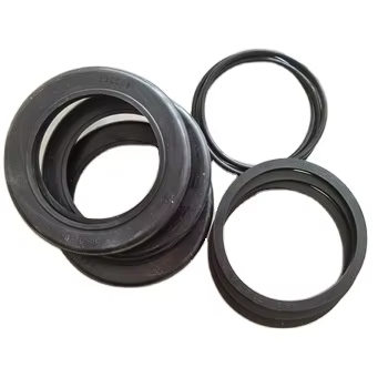 Seal Kit for Changlin